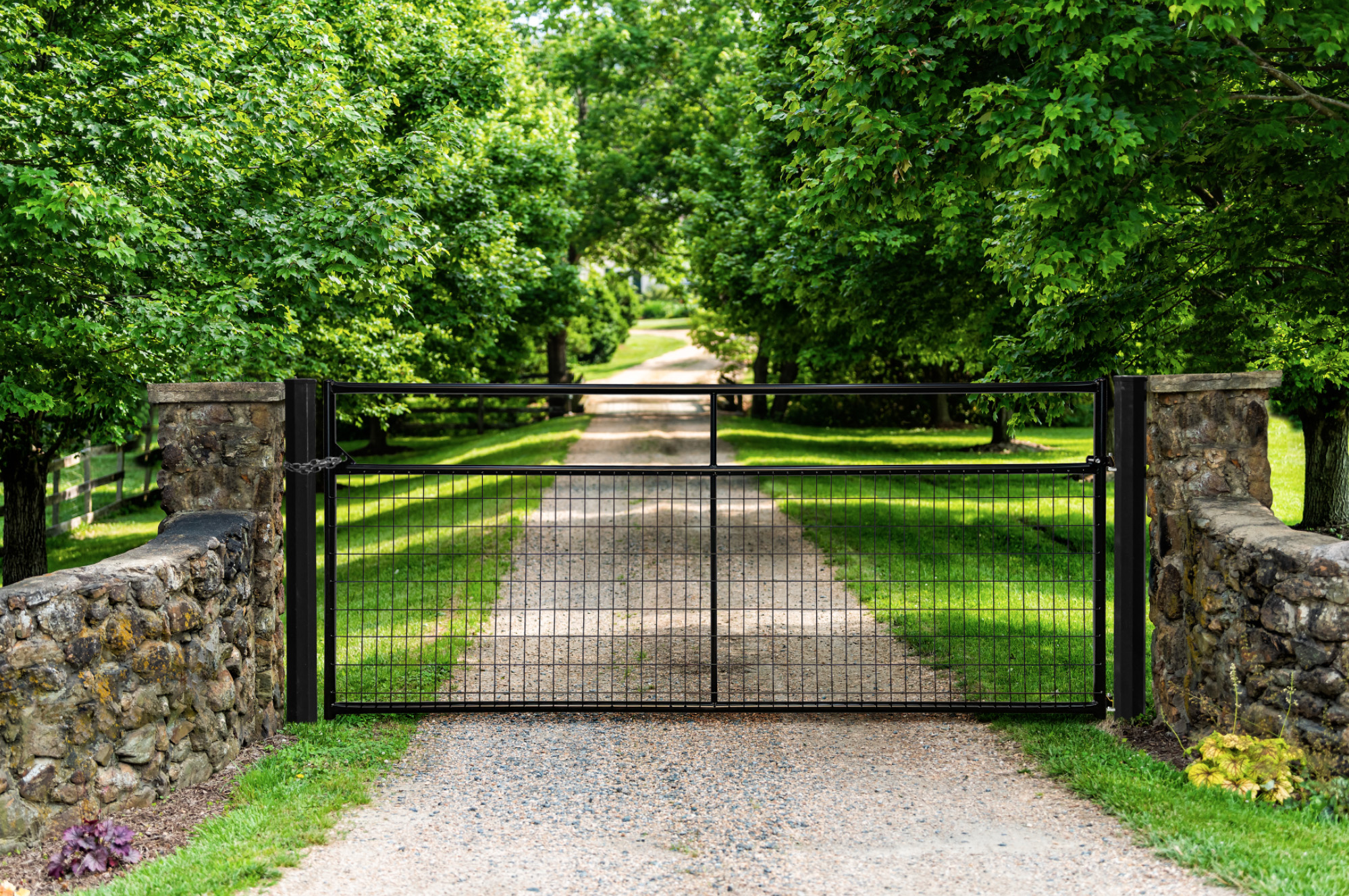 Wire Filled Economoy Gate RWG12.jpg